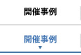 開催事例